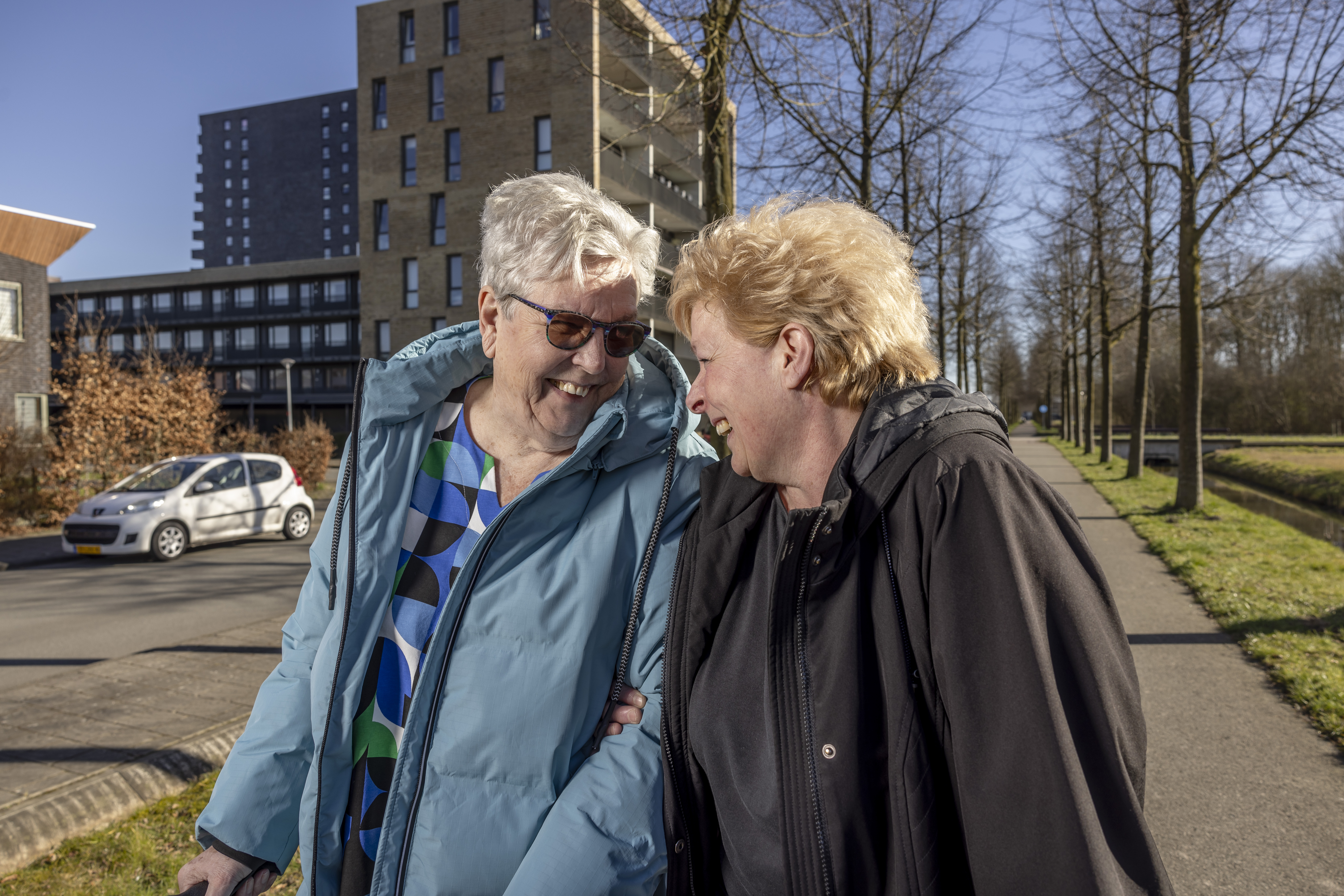 Dignis Veldspaat 